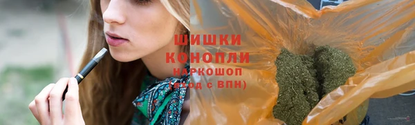 spice Алзамай