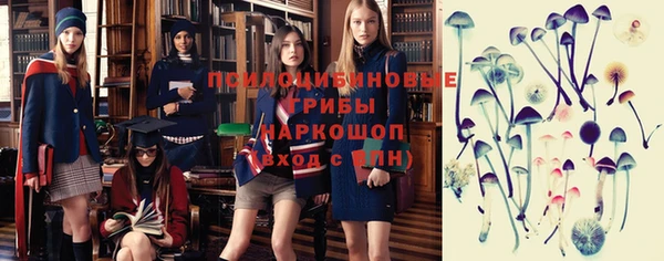 тгк Алексеевка
