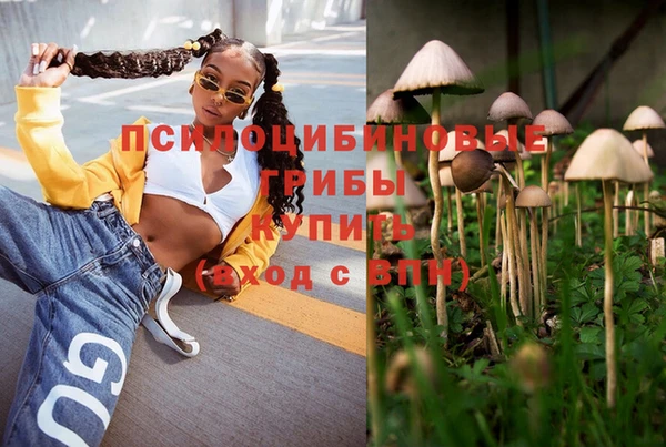 тгк Алексеевка